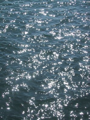 sunlight sparkling off the ocean, santa cruz, ca.